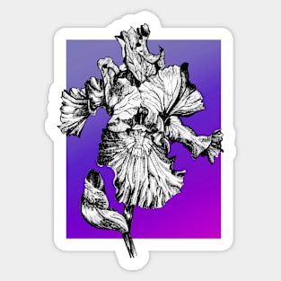 Ink - Iris Variation 1 Sticker